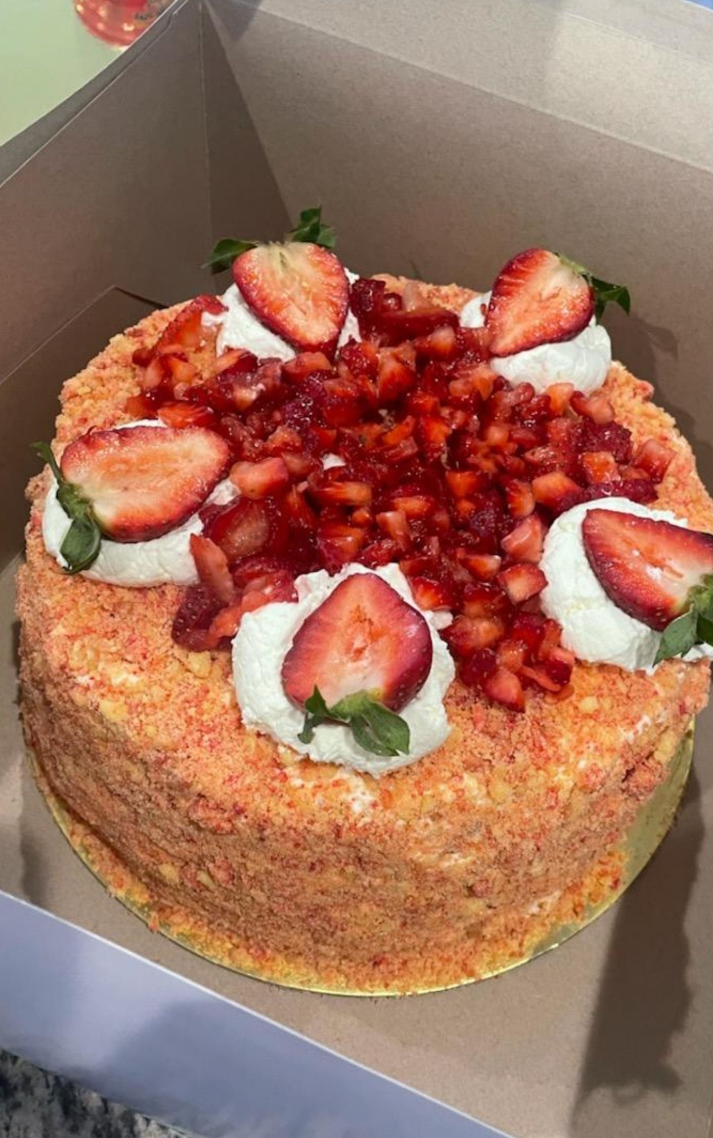 LACED  COOK BOOK - Digital Recipe Collection 200+ pages!